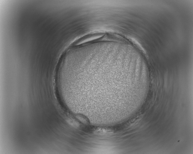 X0000068310487200605122034