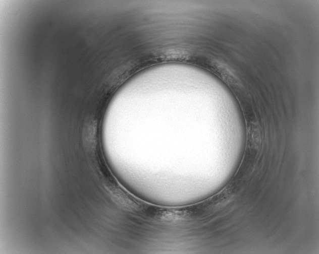 X0000068310550200605122032