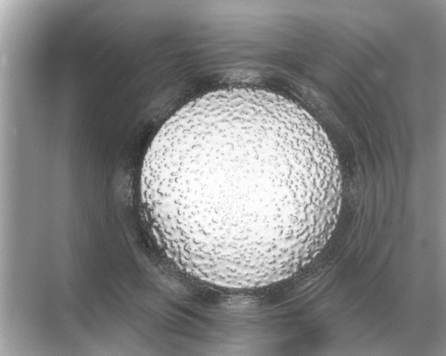 X0000068310551200605122032