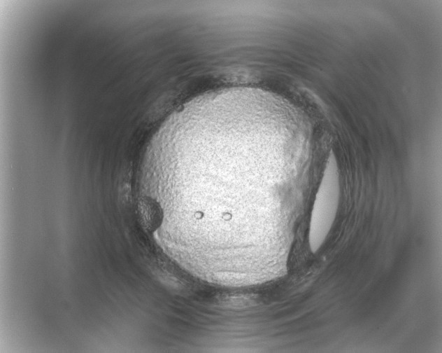 X0000068310553200605122033