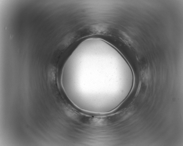 X0000068310570200605122033