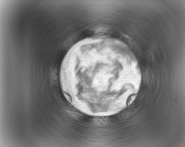 X0000068310571200605122033