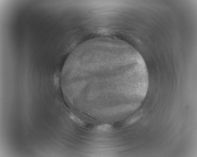 X0000068310576200605122033