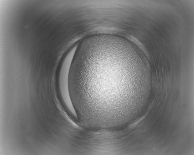 X0000068310581200605122032
