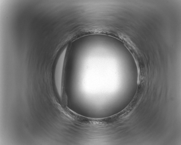 X0000068310585200605122032