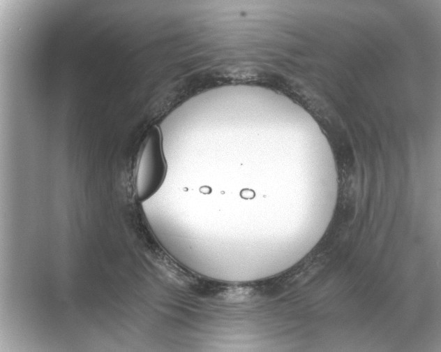 X0000068310609200605122032