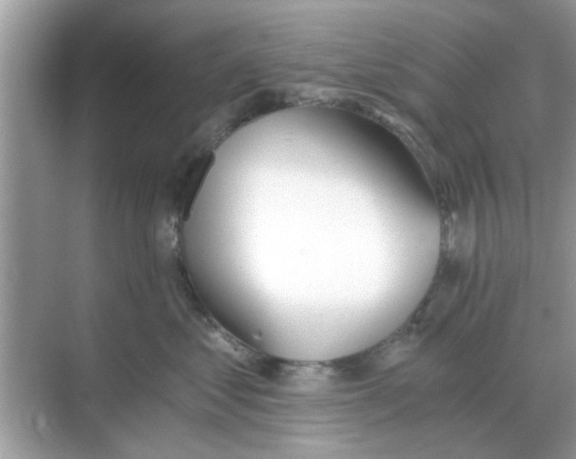 X0000068310621200605122031