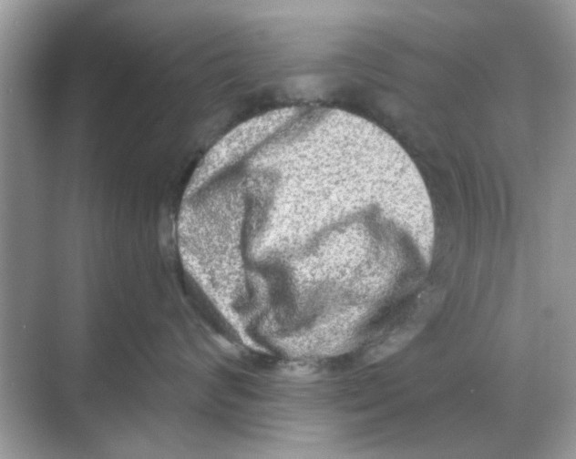 X0000068310624200605122031