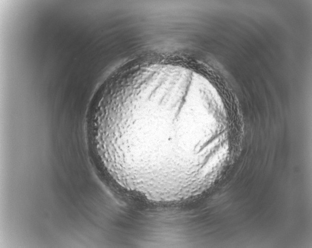 X0000068310626200605122030