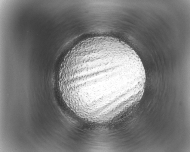 X0000068310640200605122031