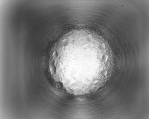 X0000068310654200605122031