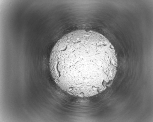 X0000068310659200605122031