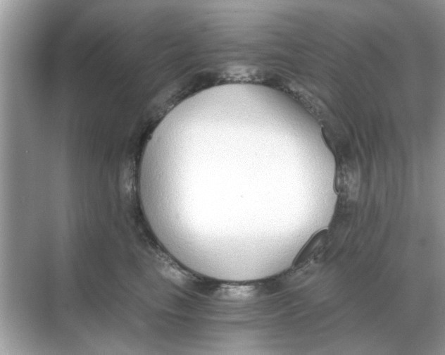 X0000068310665200605122031