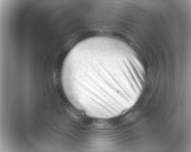 X0000068310671200605122031