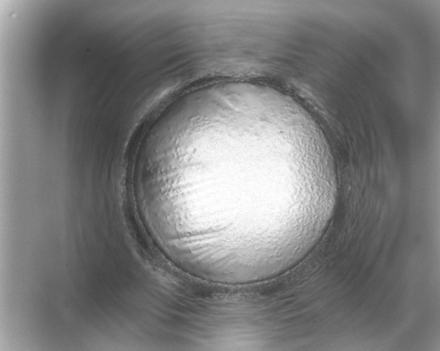 X0000068310679200605122030