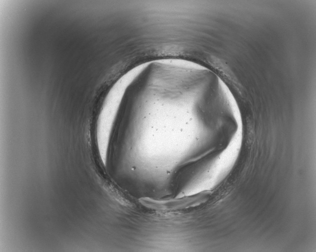 X0000068310681200605122030