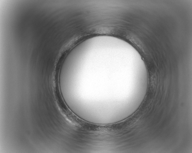 X0000068310682200605122030