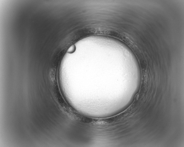 X0000068310695200605122030