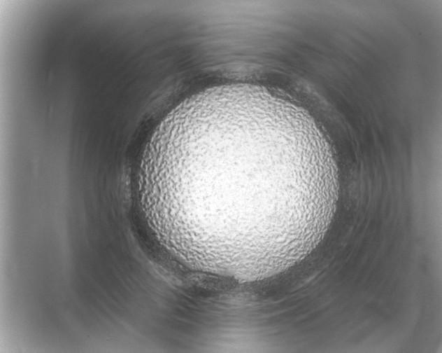 X0000068310696200605122030