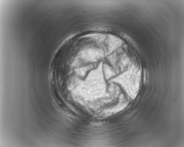 X0000068310723200605122029