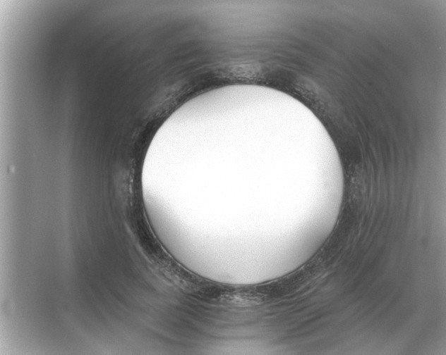 X0000068310739200605122029