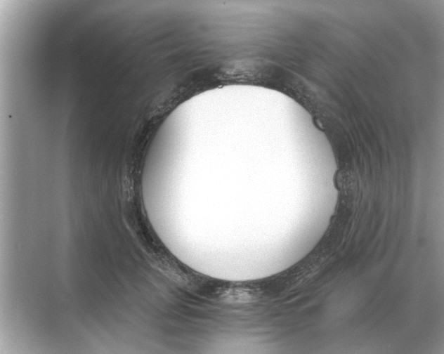 X0000068310751200605122029