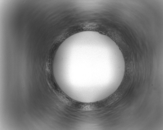 X0000068310755200605122029
