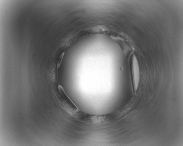 X0000068310762200605122030