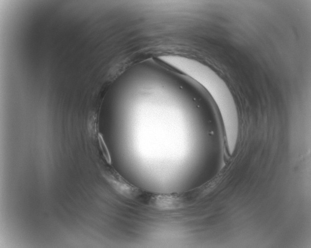 X0000068310766200605122030