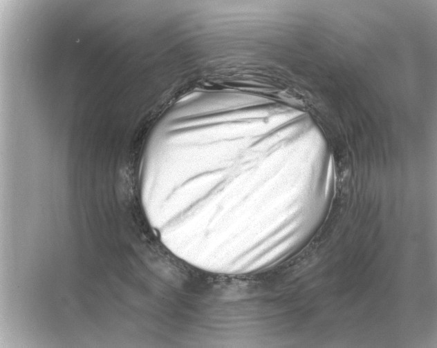 X0000068310772200605122029