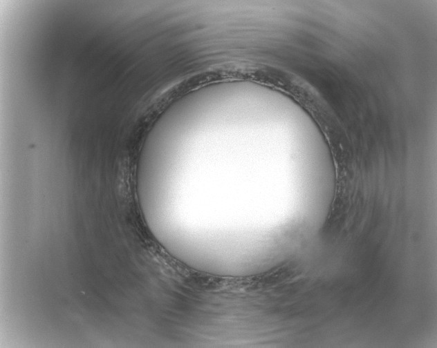 X0000068310773200605122029