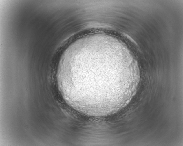 X0000068310775200605122029