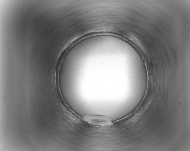 X0000068310781200605122029