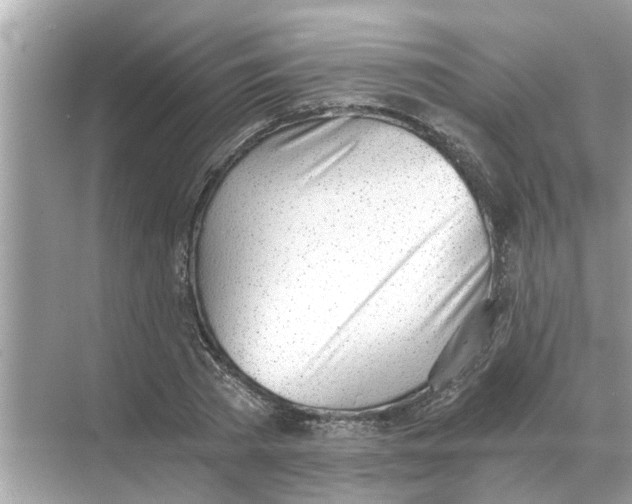 X0000068310785200605122029