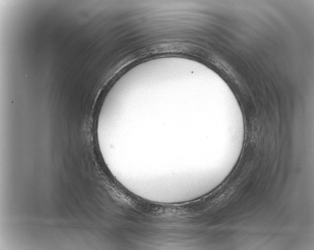 X0000068310786200605122029