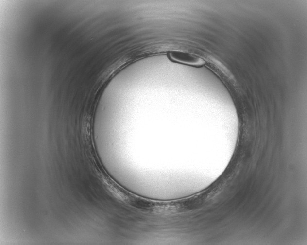 X0000068310793200605122028