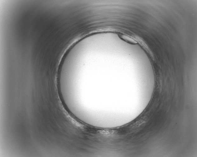 X0000068310805200605122028