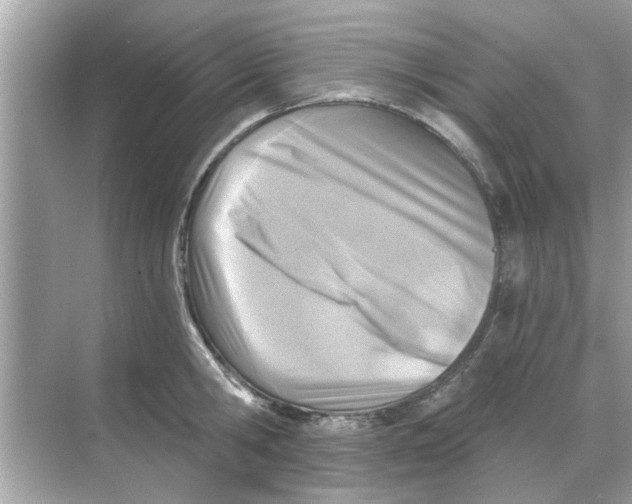 X0000068310806200605122028