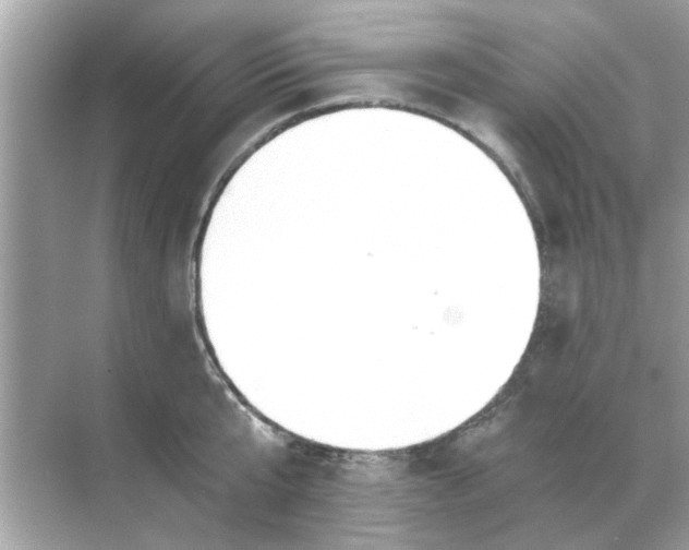 X0000068310807200605122028