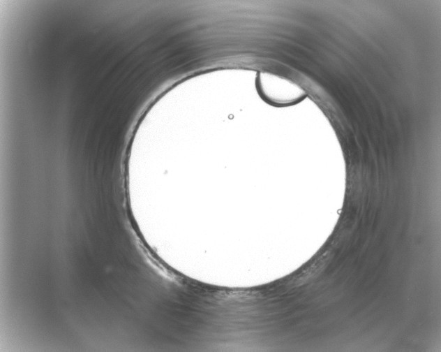 X0000068310808200605122028