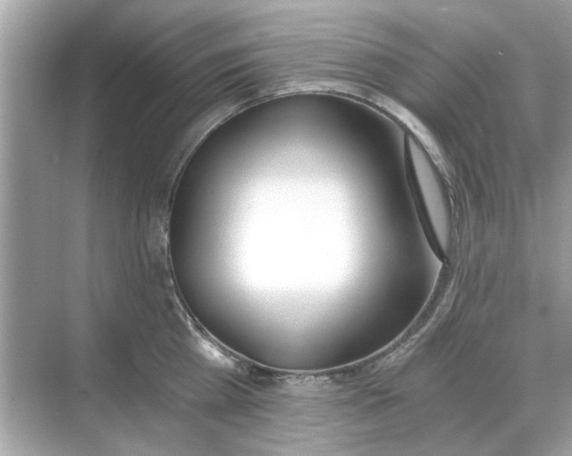 X0000068310809200605122028
