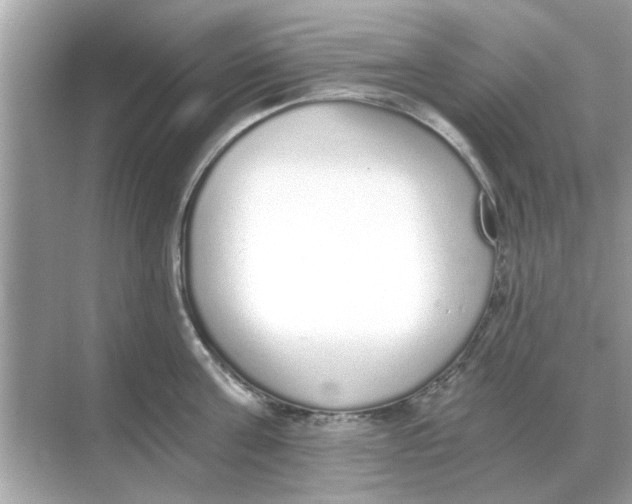 X0000068310811200605122028