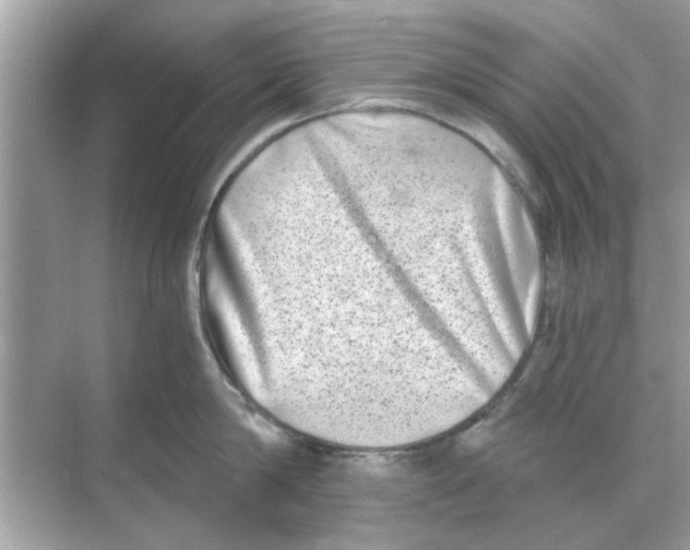 X0000068310814200605122028