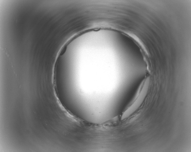 X0000068310815200605122028