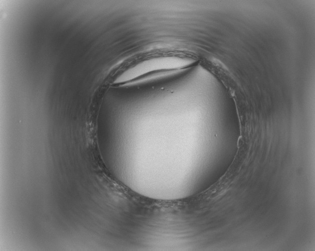 X0000068310822200605122027