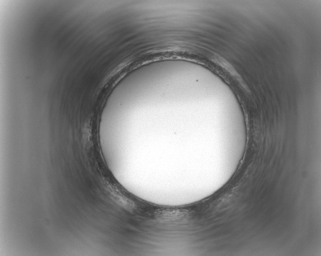 X0000068310826200605122027