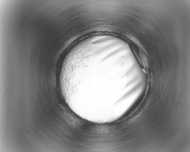 X0000068310829200605122027