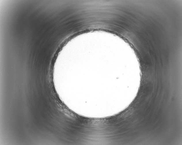 X0000068310832200605122027