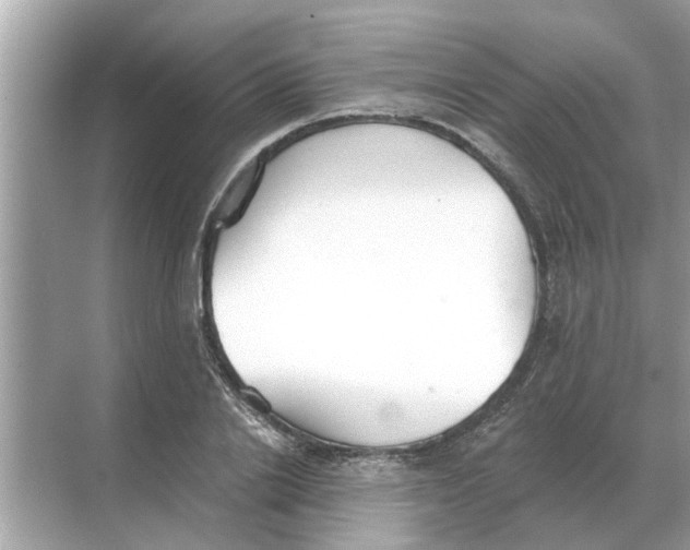 X0000068310838200605122028
