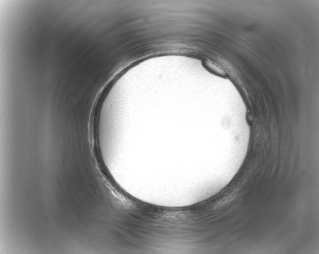 X0000068310843200605122028